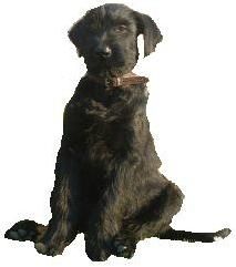 bald gibt es mehr Bilder