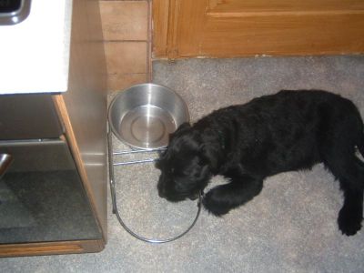 wir machen gerade eine k&uuml;nstlerische Pause