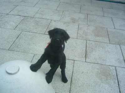 Herr Rot wie wir ihn kennen