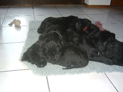 jeder schafft sich Platz