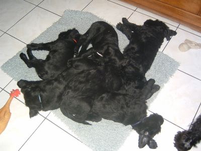 mal unten und mal oben auf