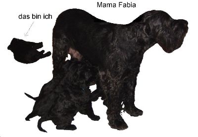 unsere Mutter Fabia als Zapfstelle