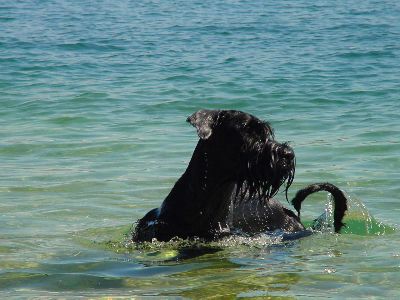 hey wo ist die Cora ?