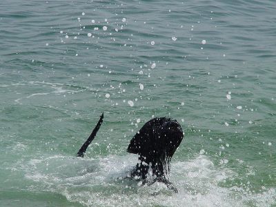 uh das ist garnicht so einfach 