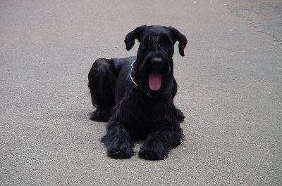 Mai 2005 in Kroatien / Umag