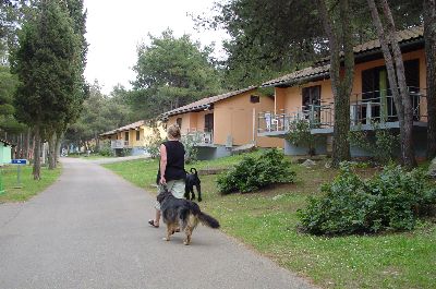 das erste mal mit Frauchen im Meer schwimmen