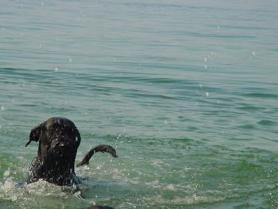 doch mit etwas &Uuml;bung klappt das dann doch ganz gut