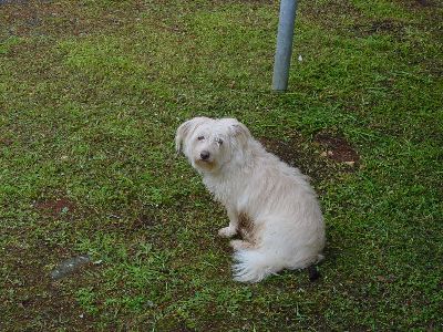 und eine nette Bekannschaft aus Innsbruck habe ich auch kennen gelernt