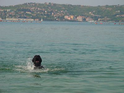 Achtung ich kommmmmmmmmmmme