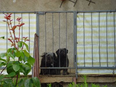 zwei neugierige Fremde auf einem Balkon irgendwo in Umag