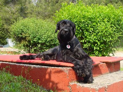 mein Lieblingsplatz vor dem Haus in der Sonne nach dem Baden