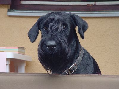 hier kommst du ned rein