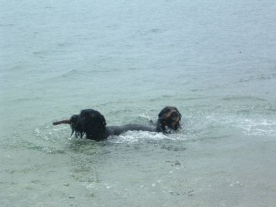 dankesch&ouml;n und tsch&uuml;&szlig; .............