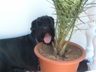 mann ist das warm hier