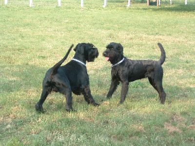 und Afra aus Bayern war auch da  