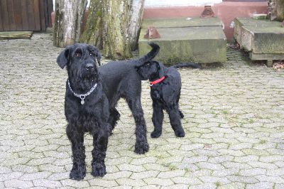 was macht den die da ?