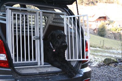 seht her ich bin Hausbesitzer