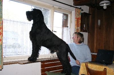 was geht da drau&szlig;en ab ?