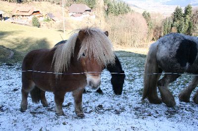 und alle kommen zum begr&uuml;&szlig;en