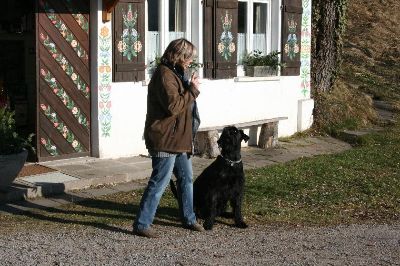 h&ouml;rt, h&ouml;rt