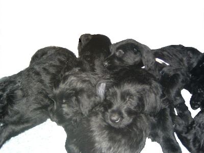 das sind wir nun alle zusammen