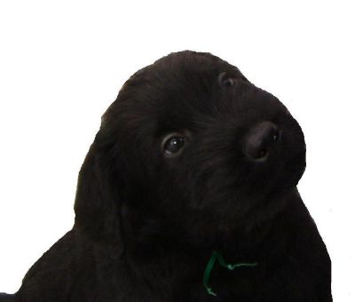 wer schaut den das so lieb ?